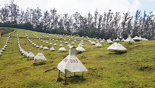 A field of detectors used in the GRAPES-3 experiment of TIFR at Ooty